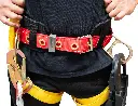 C-ANI-32.webp