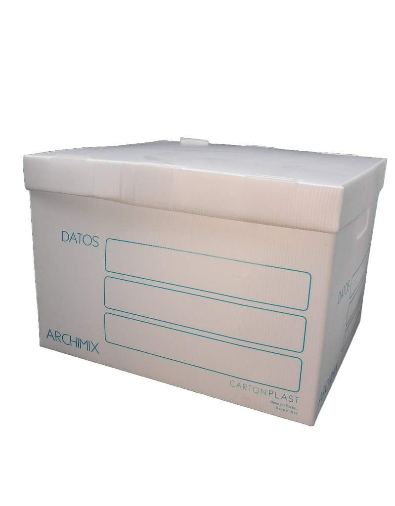 Caja Archivo Plastico T/ Carta Carton Plast
