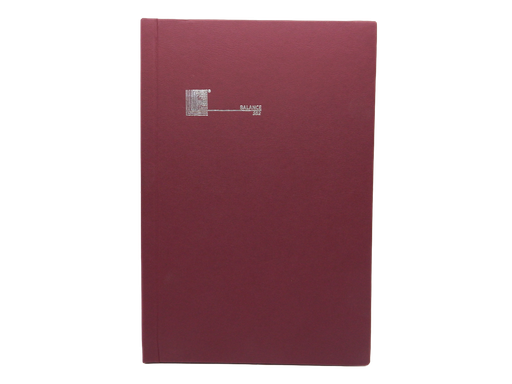 [002893] Libro de Balance 96 Hjs Lifoco