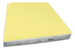 [004449] Cartulina Bristol 50 Kg Amarilla C/ 100 pzs Arpapel
