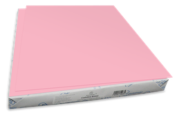 [004451] Cartulina Bristol 50 Kg Rosa C/ 100 pzs Arpapel