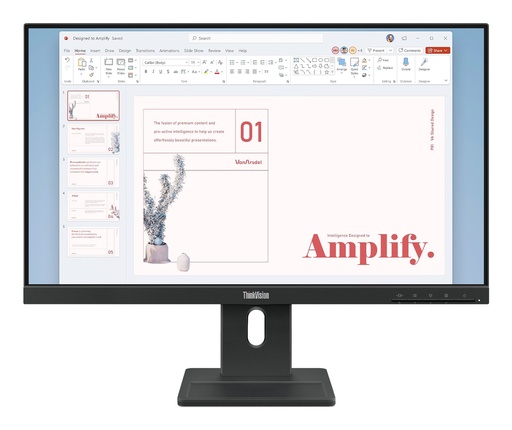 [005176] Monitor Lenovo ThinkVision E24-40 23.8 FHD 100Hz HDMI DisplayPort