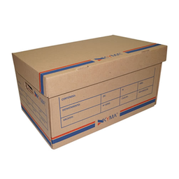 [000239] Caja Archivo Carton T/ Carta Kyma