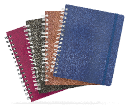 [000315] Libreta Profesional Rayada Ejecutiva Pasta Dura C/ 100 hjs Printaform
